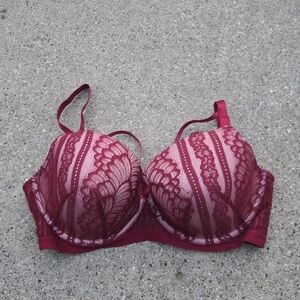 Adoreme Elegant Lace Burgundy Bra Women 38G